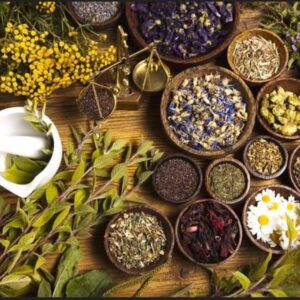 HERBS