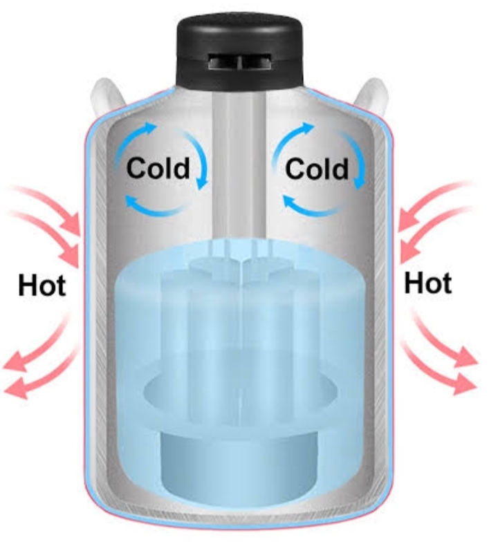 Screenshot_20250315-201554_Google